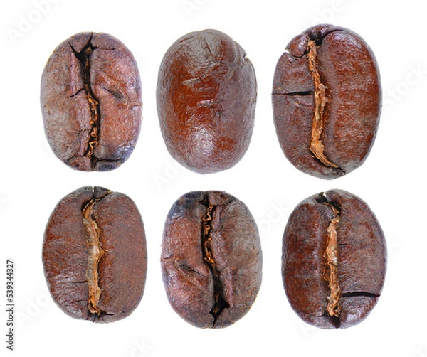 Fototapeta roasted coffee beans isolated transparent png