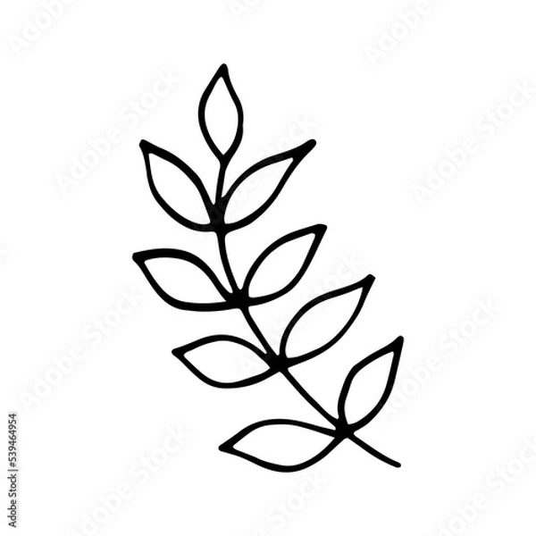 Fototapeta Vector abstract floral element in doodle style. Hand draw leaf illustration for your design. Single plant object, clipart, sublimation