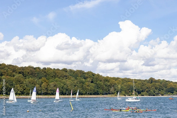 Fototapeta Regatta in Aarhus' harbor area,Denmark,Europe