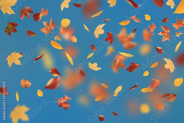 Fototapeta falling autumn leaves background abstract seasonal backdrop october