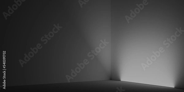 Fototapeta Abstract light in the dark room. Black and white empty room with geometric light and shadow 3d render illustration.