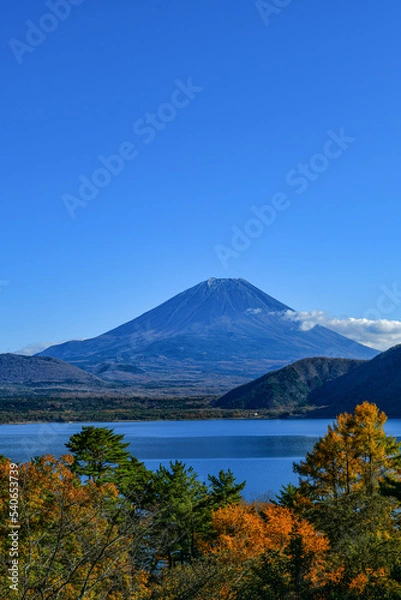 Fototapeta 初秋の富士山