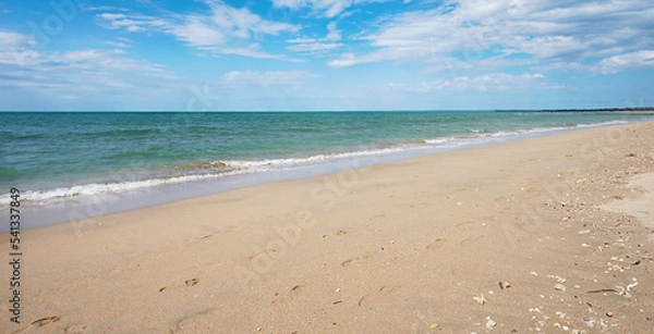 Fototapeta Small waves churning the sand on the water's edge of the bay at Pialba, Hervey Bay, Queensland.The tide is flowing out leaving wet sand, shell grit, and a line of sea shells along a sandy beach.