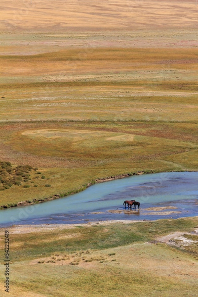 Fototapeta Two horses in the Kegen river