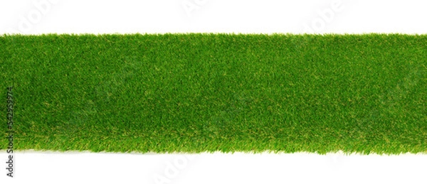 Fototapeta Green grass isolated on white background