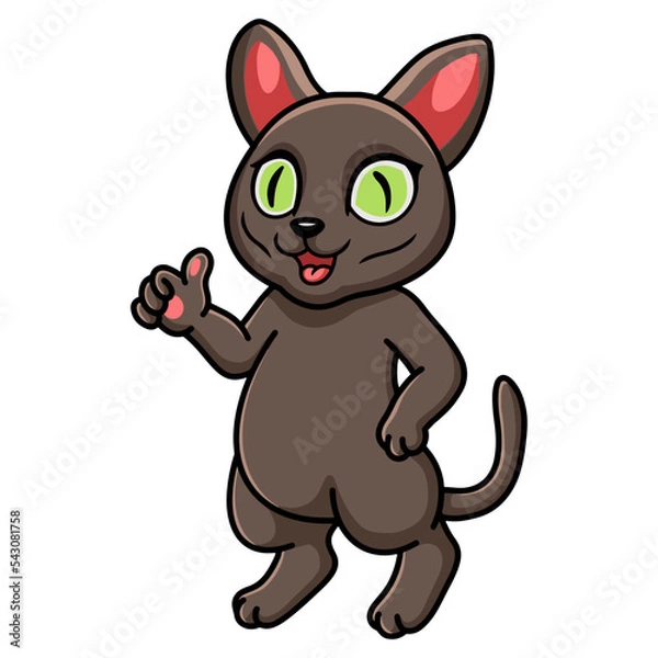 Fototapeta Cute korat cat cartoon giving thumbs up