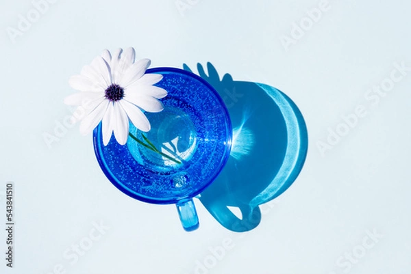 Fototapeta A blue glass of water and flower with sharp strong shadow on blue background