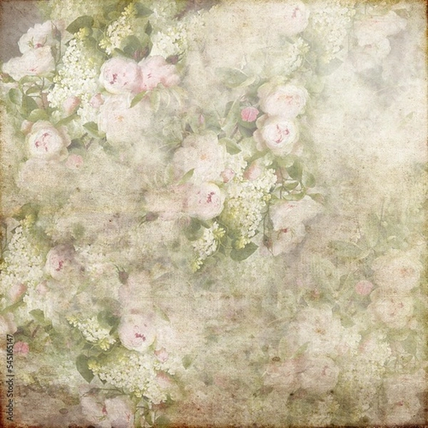 Fototapeta Vintage Grunge White Flowers 141