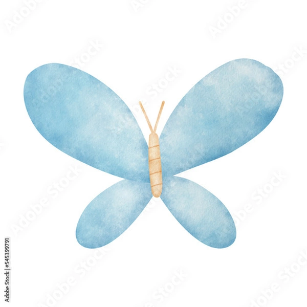 Fototapeta Blue butterfly watercolor illustration isolated on white