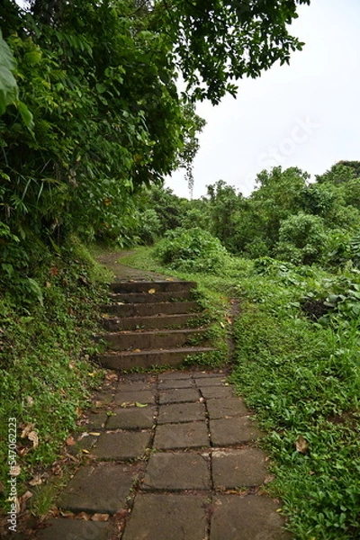 Fototapeta Bali, Indonesia - November 11, 2022: The Campuhan Ridge Walk Ubud