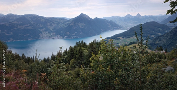 Fototapeta Summer day panorama of the Lake Lucerne surrounded by mountains. Vierwaldstattersee. Swiss Alps, Switzerland 