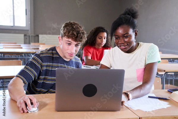 Fototapeta Young multiracial students using laptop while sitting on desk in the class together at college. High quality photo