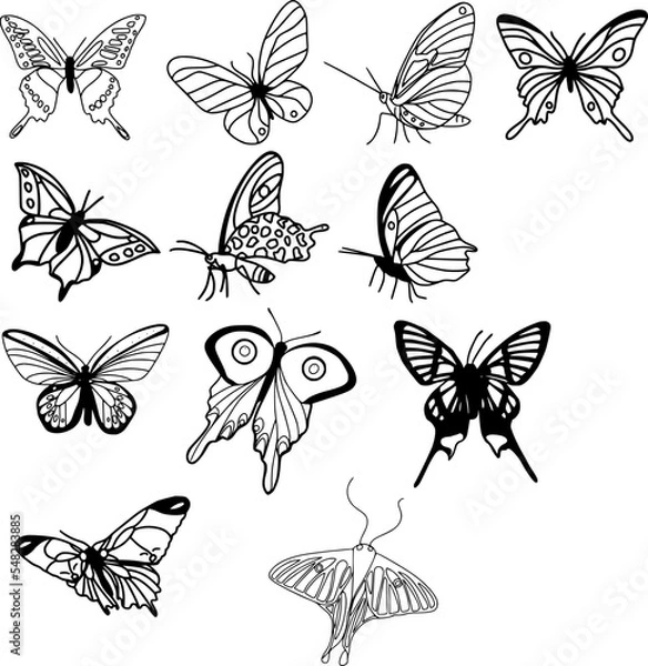 Fototapeta vector de bonitas mariposas III