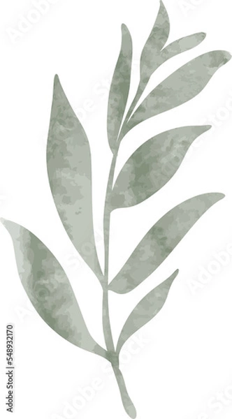 Fototapeta Watercolor leaf branch illustration