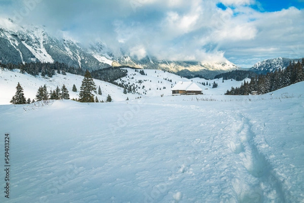 Fototapeta Winter scenery and hiking trail in the deep snow, Romania