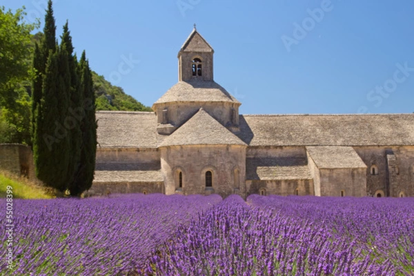 Fototapeta Sénanque Abbey (Provence, France)