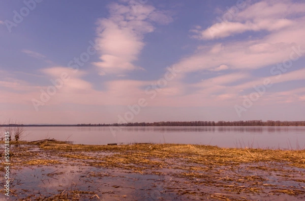 Fototapeta Beautiful winter landscape at the ravine Petrie Island, Ottawa