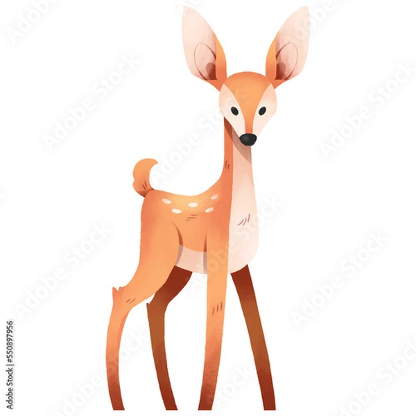 Fototapeta baby deer