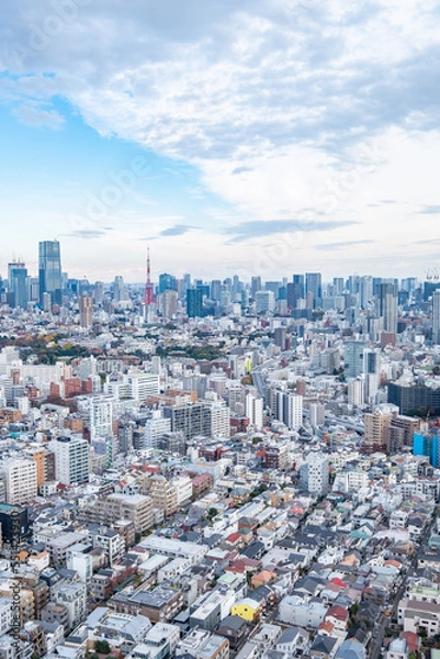 Fototapeta 日本の首都東京の都市風景