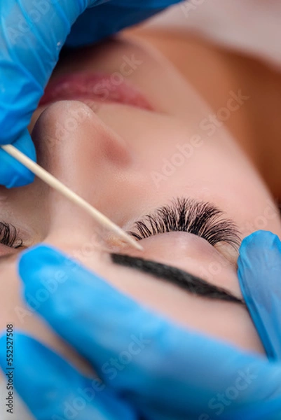 Fototapeta Tattoo Ideas. Beautician Tattooing Woman's Eyebrows Using Special Equipment During Process of Permanent Make-up.