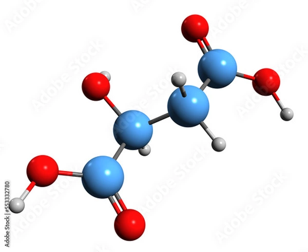 Fototapeta  3D image of Malic acid skeletal formula - molecular chemical structure of Hydroxybutanedioic acid isolated on white background
