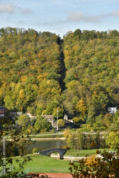 Fototapeta Collines boisées en automne bordant la Meuse à Anseremme au sud de Dinant 