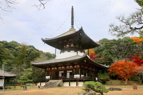 Fototapeta 大塔・根来寺（和歌山県・岩出市）