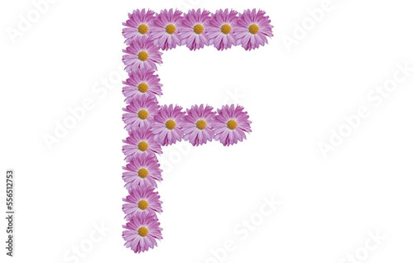 Fototapeta Letter F made with pink flower isolated on white background. Spring concept idea.
