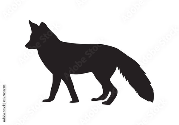 Fototapeta Red Fox silhouette vector isolated. Omnivorous mammal or wild animal.