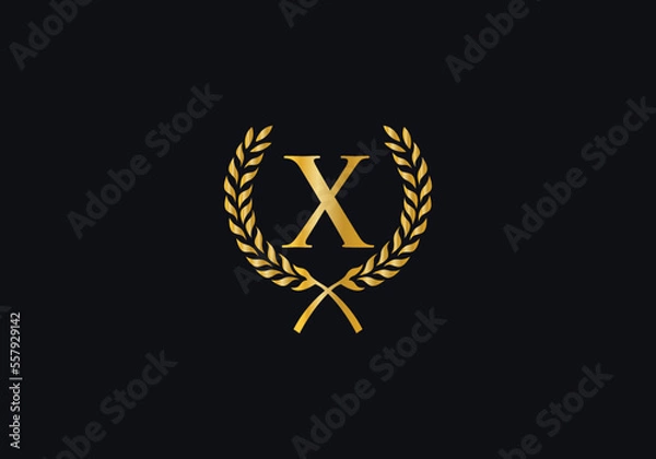 Fototapeta Laurel wreath logo and Vintage wheat circle leaf icon vector design with letters. Laurel wreath leaf circle letters favicon and icon