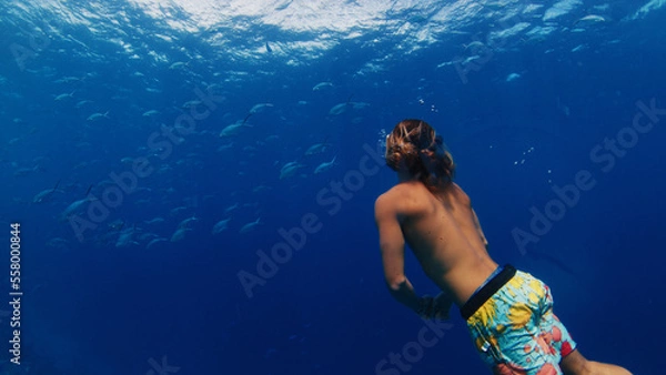 Fototapeta Man swims underwater and watches fish