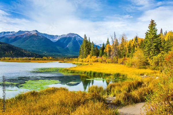 Fototapeta The landscape in the Rocky Mountains