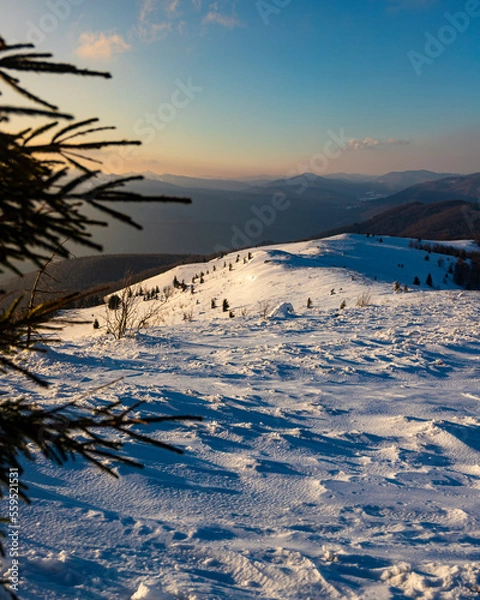 Fototapeta panorama of snowy mountains bieszczady at sunset, coniferous trees covered with snow, colorful winter sunset seen from the top of the mountain bukowe berdo