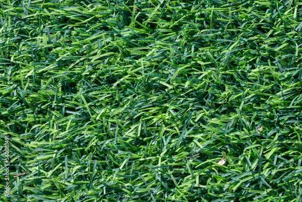 Fototapeta Full frame shot of green artificial turf used for covering sport arena or garden.