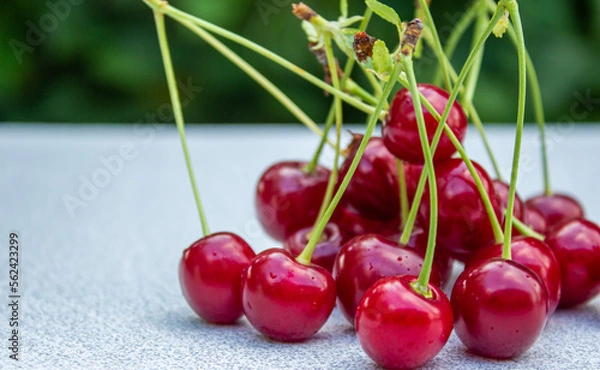 Fototapeta Sour cherries on a wooden table