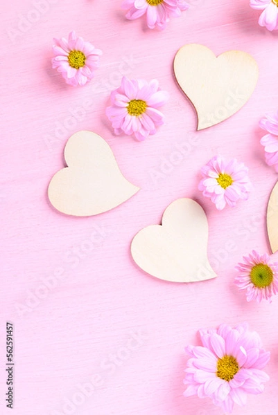 Fototapeta Pink Chrysanthemum flower on pink background, Love valentine concept