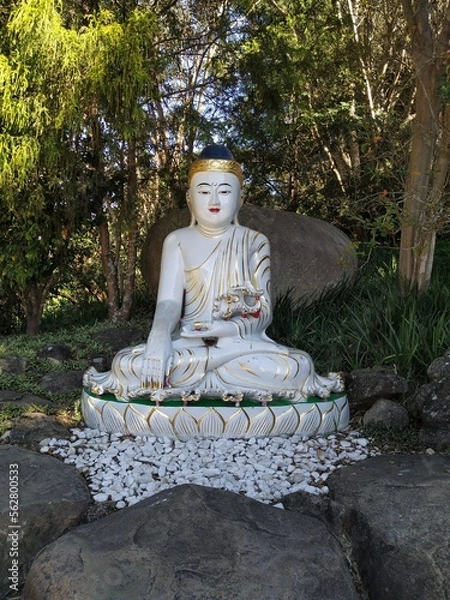 Fototapeta Buddha statue on a garden with trees