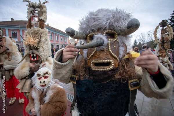 Fototapeta Masquerade festival in Breznik, Bulgaria