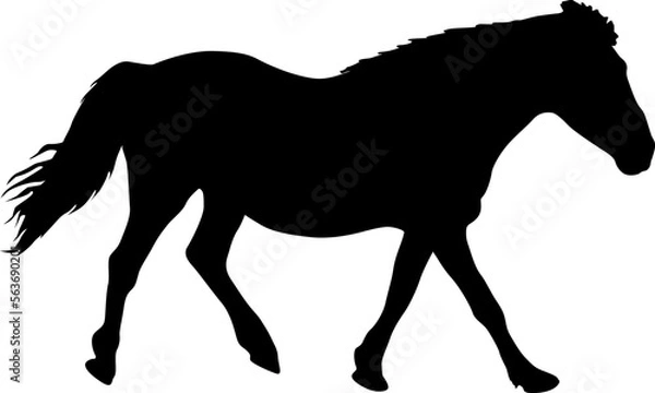 Fototapeta silhouette of black mustang horse vector illustration