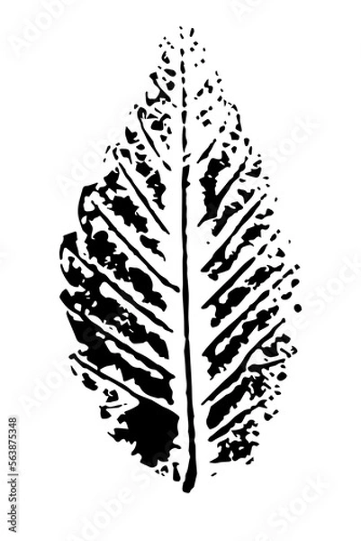 Fototapeta Vector printed silhouette of leaf. Botanical element, isolated on white background.