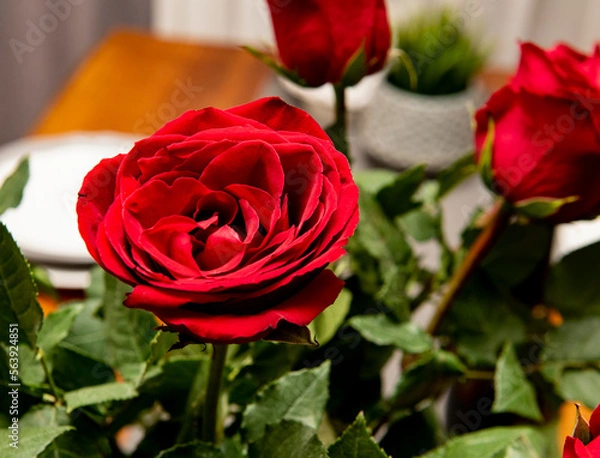 Fototapeta Red roses in the interior for Valentine's Day