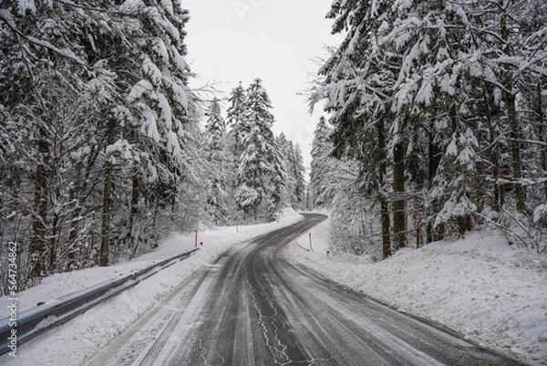 Fototapeta snowy road in the forest