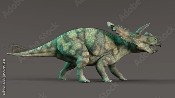 Fototapeta 3d-illustration of an isolated extincted dinosaur albertaceratops