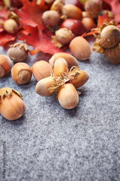 Fototapeta Autumn background