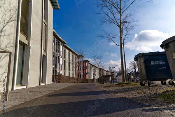 Fototapeta Frog perspective of pavement with tree alley at City of Zürich district Seebach on a sunny winter noon. Photo taken January 31st, 2023, Zurich, Switzerland.