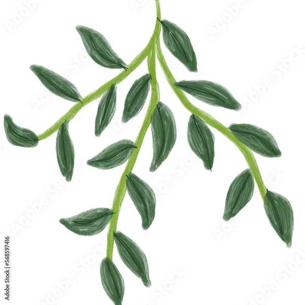 Fototapeta Illustration of a watercolor twig of a plant with leaves as an ornament for decoration on a white isolated background