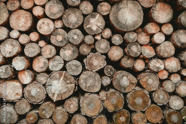 Fototapeta stack of firewood