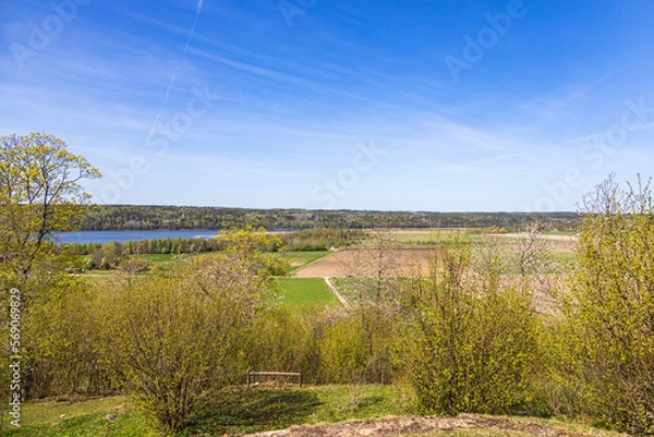 Fototapeta View of a beautiful landscape with green trees in spring