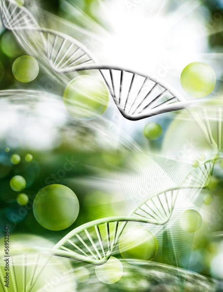 Fototapeta image of stylized dna chains on a blurred background. 3D-image