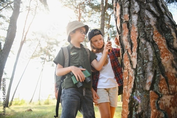 Fototapeta kids scouts in the forest.